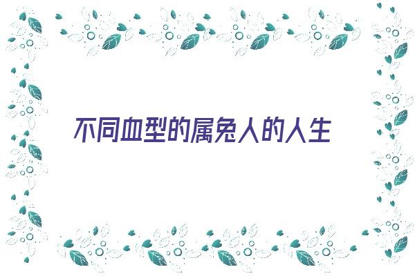 不同血型的属兔人的人生《不同血型的属兔人的人生命运如何》 生肖运势