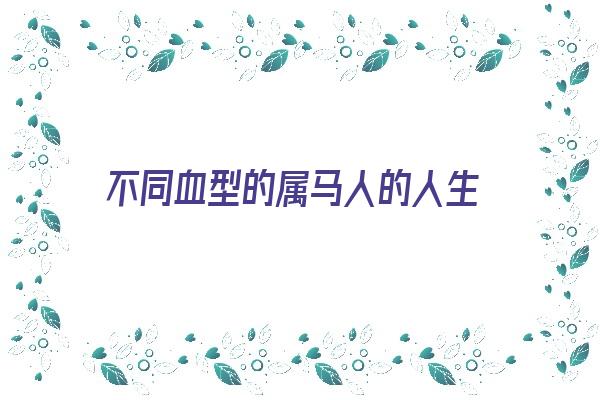 不同血型的属马人的人生《属马的什么血型》 生肖运势