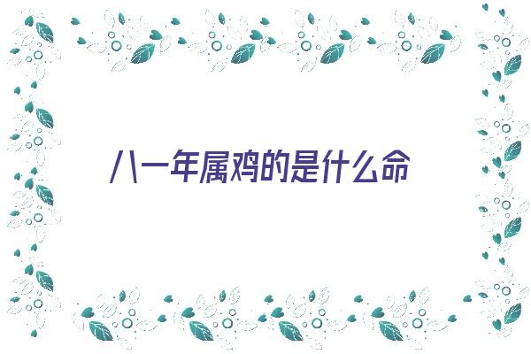 八一年属鸡的是什么命《八一年属鸡的是什么命婚姻》 生肖运势