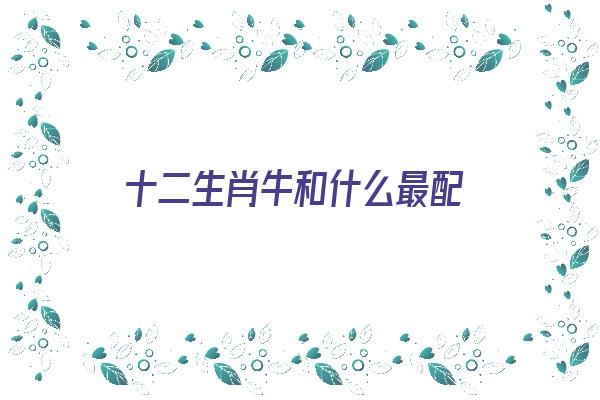 十二生肖牛和什么最配《十二生肖牛和什么最配对》