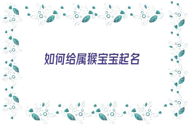 如何给属猴宝宝起名《如何给属猴宝宝起名字》