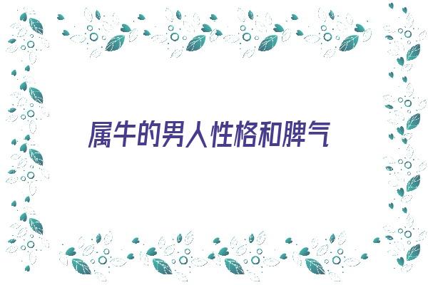 属牛的男人性格和脾气《属牛的男人性格和脾气及爱情》
