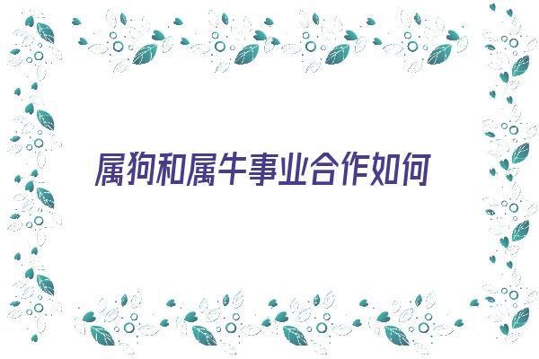  属狗和属牛事业合作如何《属狗和属牛事业合作如何相处》 生肖运势