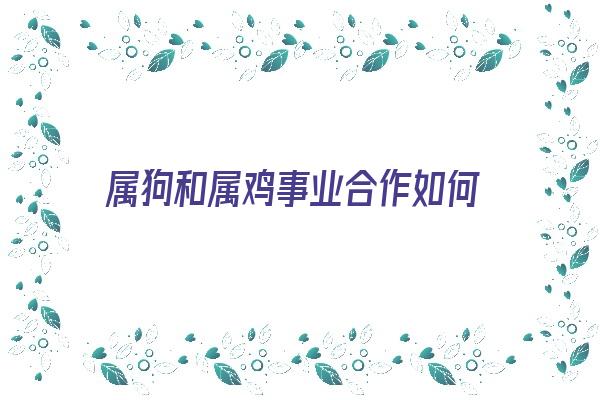  属狗和属鸡事业合作如何《属狗和属鸡事业合作如何相处》 生肖运势