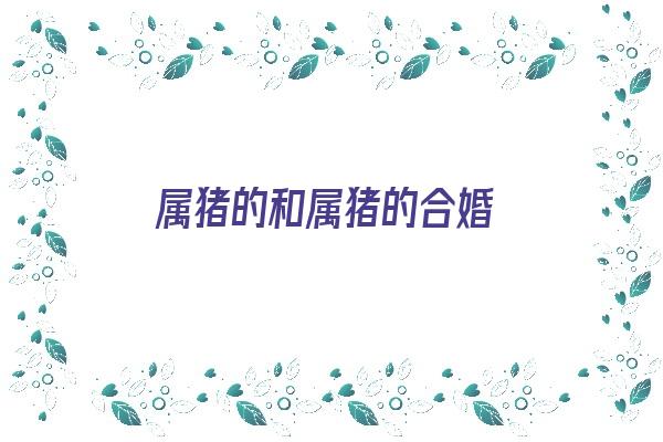 属猪的和属猪的合婚《属猪的和属猪的合婚吗?》