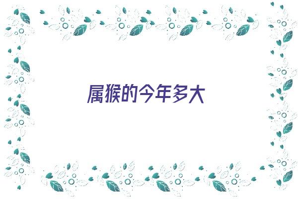 属猴的今年多大《属猴的今年多大了》