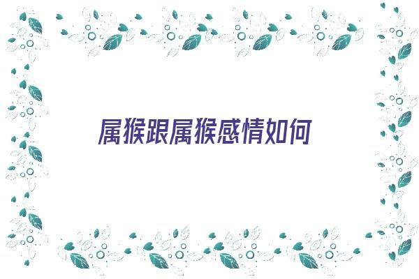  属猴跟属猴感情如何《属猴跟属猴感情如何呢》 生肖运势