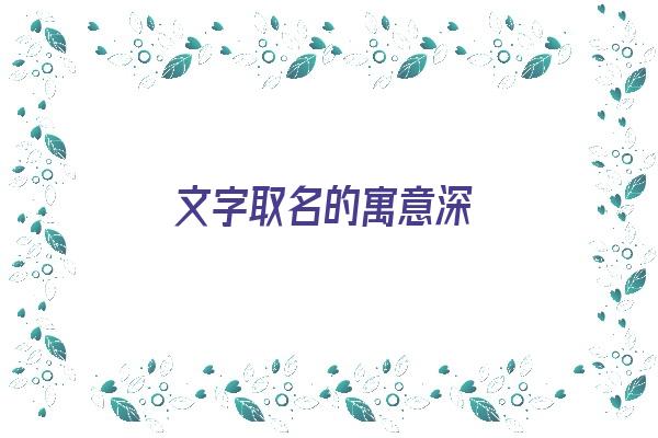 文字取名的寓意深《文字取名的寓意深意》