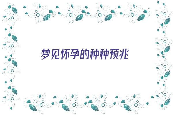  梦见怀孕的种种预兆《梦见怀孕的种种预兆是什么》 周公解梦
