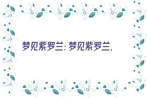  梦见紫罗兰：梦见紫罗兰，不愉快的开始《梦见紫罗兰是什么意思》 周公解梦