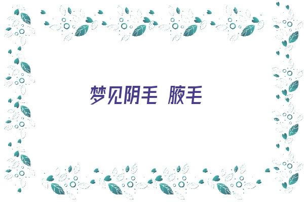 梦见阴毛 腋毛《梦见腋下毛很长》