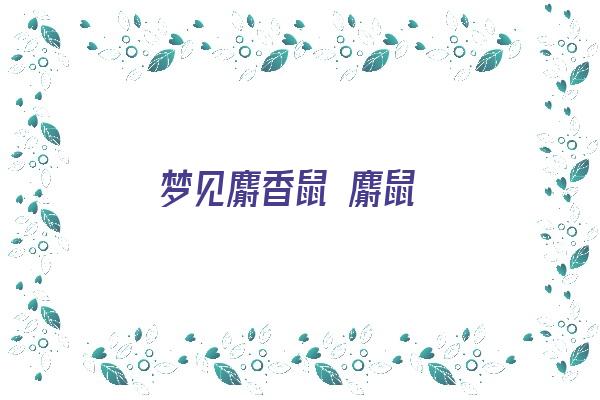  梦见麝香鼠 麝鼠《梦见麝香鼠 麝鼠什么意思》 周公解梦