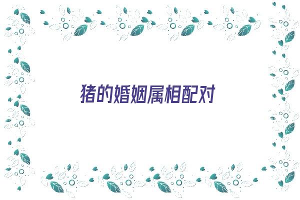 猪的婚姻属相配对《猪的婚姻属相配对表》