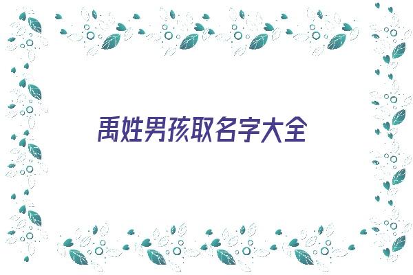 禹姓男孩取名字大全《禹姓男孩取名字大全两个字》 姓名配对