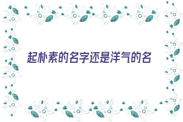 起朴素的名字还是洋气的名字《起朴素的名字还是洋气的名字好》