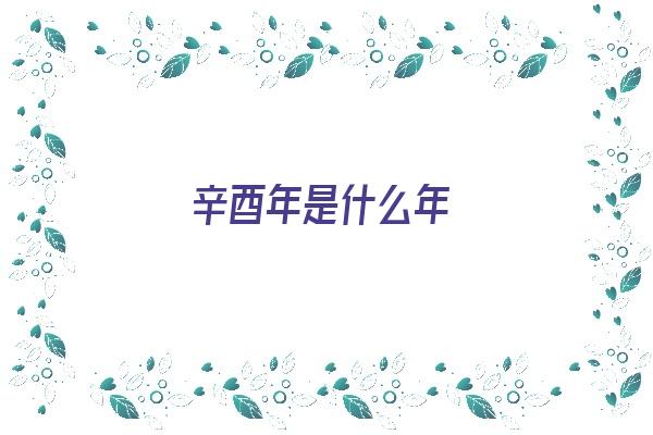  辛酉年是什么年《辛酉年是什么年代》 生肖运势