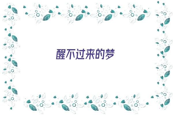 醒不过来的梦《醒不过来的梦的歌词》
