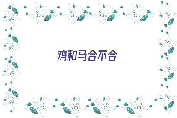  鸡和马合不合《鸡和马合不合财运呢》 生肖运势