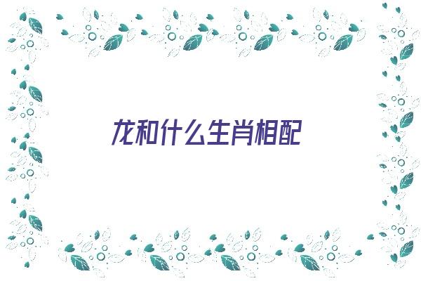  龙和什么生肖相配《生相龙和什么生肖相配》 生肖运势