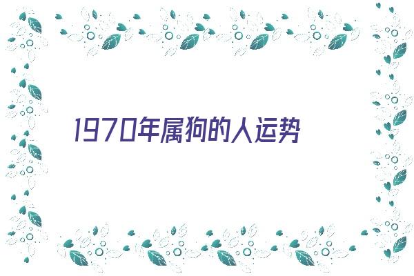 1970年属狗的人运势《1970年属狗的人运势怎么样》