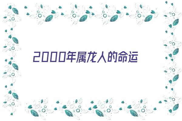 2000年属龙人的命运《2000年属龙人的命运分析》 生肖运势