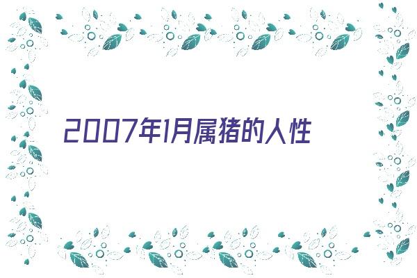 2007年1月属猪的人性格《2007年1月属猪的人性格怎么样》