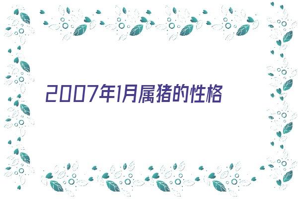 2007年1月属猪的性格命运《2007年1月属猪的性格命运如何》
