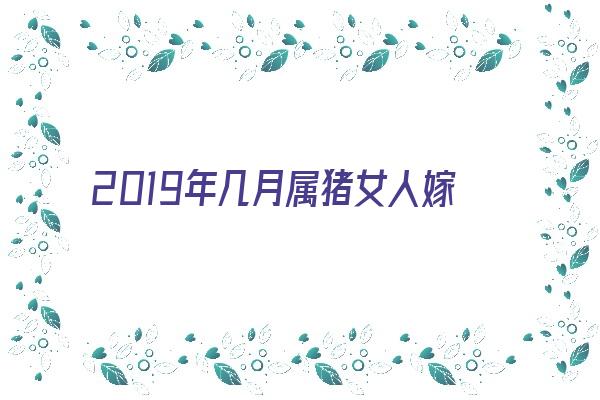  2019年几月属猪女人嫁得好《2019年几月属猪女人嫁得好呢》 生肖运势