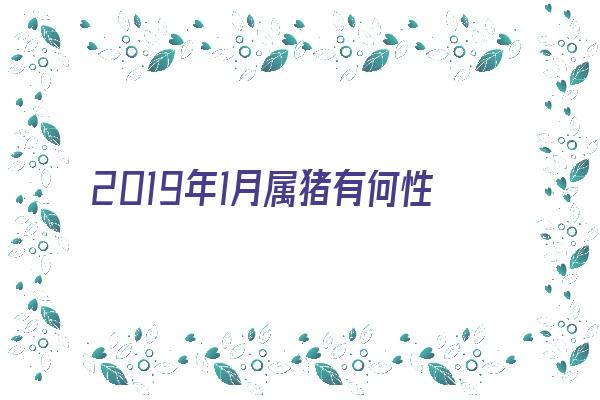 2019年1月属猪有何性格特点《2019年1月属猪有何性格特点呢》