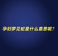 梦见有蛇进屋预兆着什么（梦见有蛇进屋预兆着什么周公解梦）