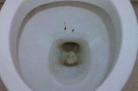 梦到通马桶还看到屎的简单

先容
