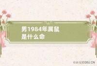 84年属鼠的人五行属什么（84年属鼠的人五行属什么属性）